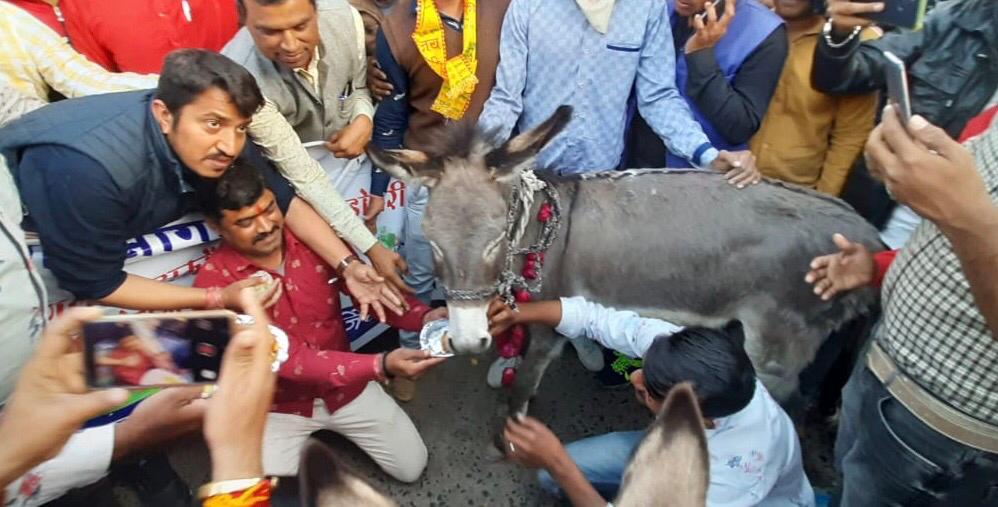 पेट्रोल-डीजल मूल्य वृद्धि के खिलाफ युवा कांग्रेस ने रंगा बिल्ला गधे को गुलाब जामुन खिलाये