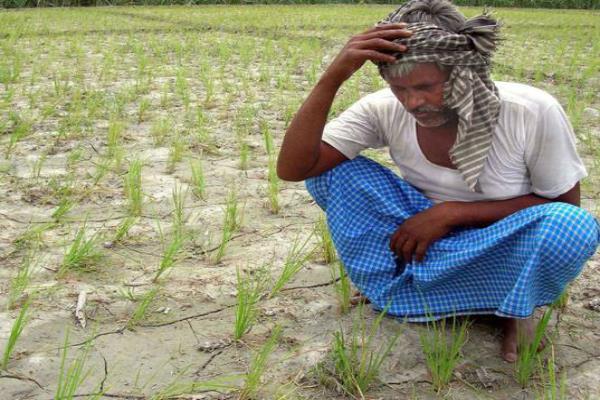 मुख्यमंत्री के आगमन के पूर्व तीन अलग अलग क्षेत्रों के किसान आए मीडिया के सामने