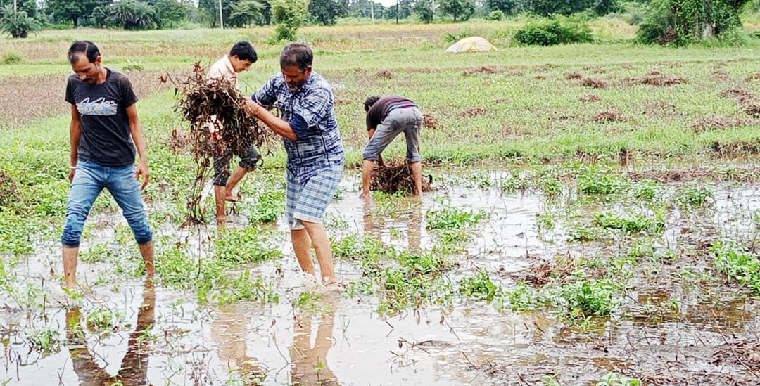 दो दिन बाद खुला मौसम, सुबह की बारिश के बाद निकली धूप