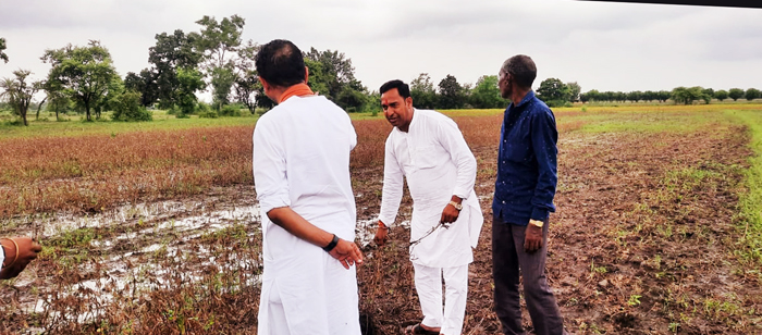 चार दिनों से हो रही भारी बारिश ने छिना किसानों के मुंह का निवाला