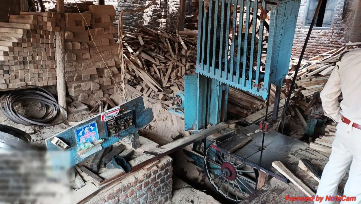 अवैध आरा मशीन पर कार्रवाई: वन विभाग ने लाखों की लकड़ी जब्त की
