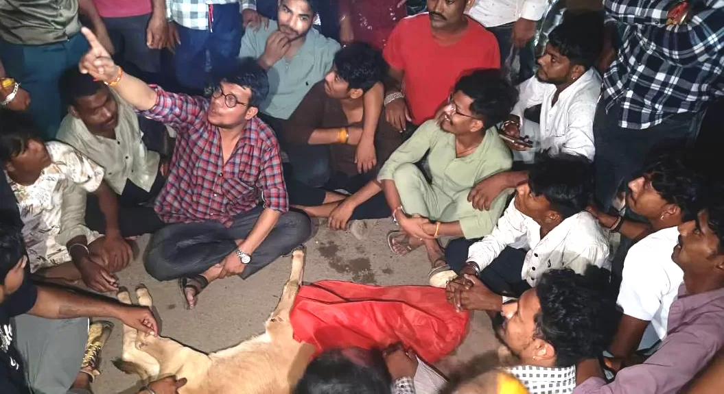 नलखेड़ा में गाय के बछड़े की मौत पर चक्का जाम