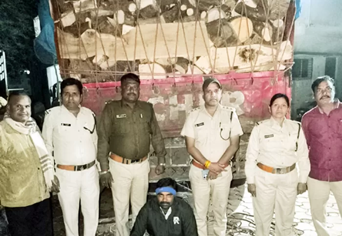 वन विभाग ने 60 क्विंटल अवैध लकडिय़ों से भरा ट्रक पकड़ा