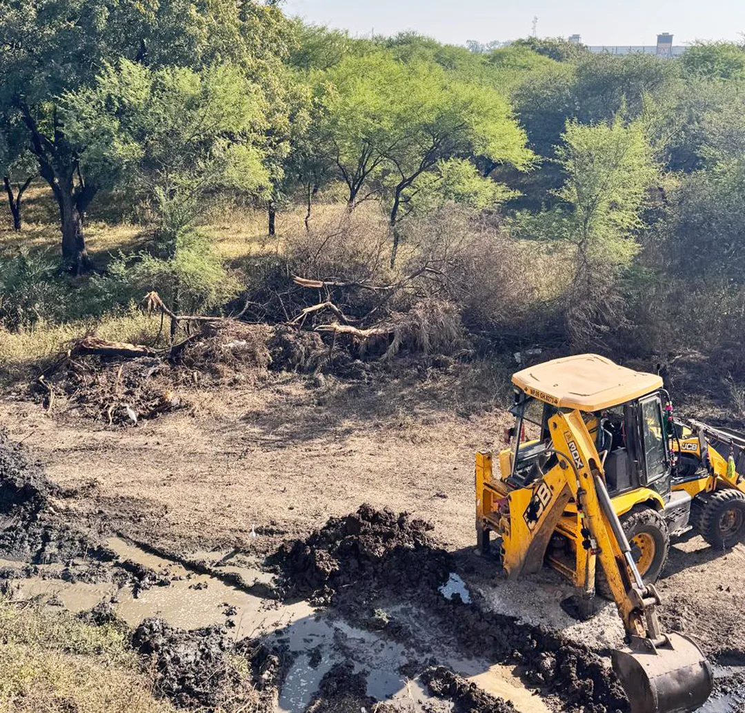 पर्यावरण संरक्षण को चुनौती: पीथमपुर में ‘मां की बगिया’ पर चला वन माफिया का आरा