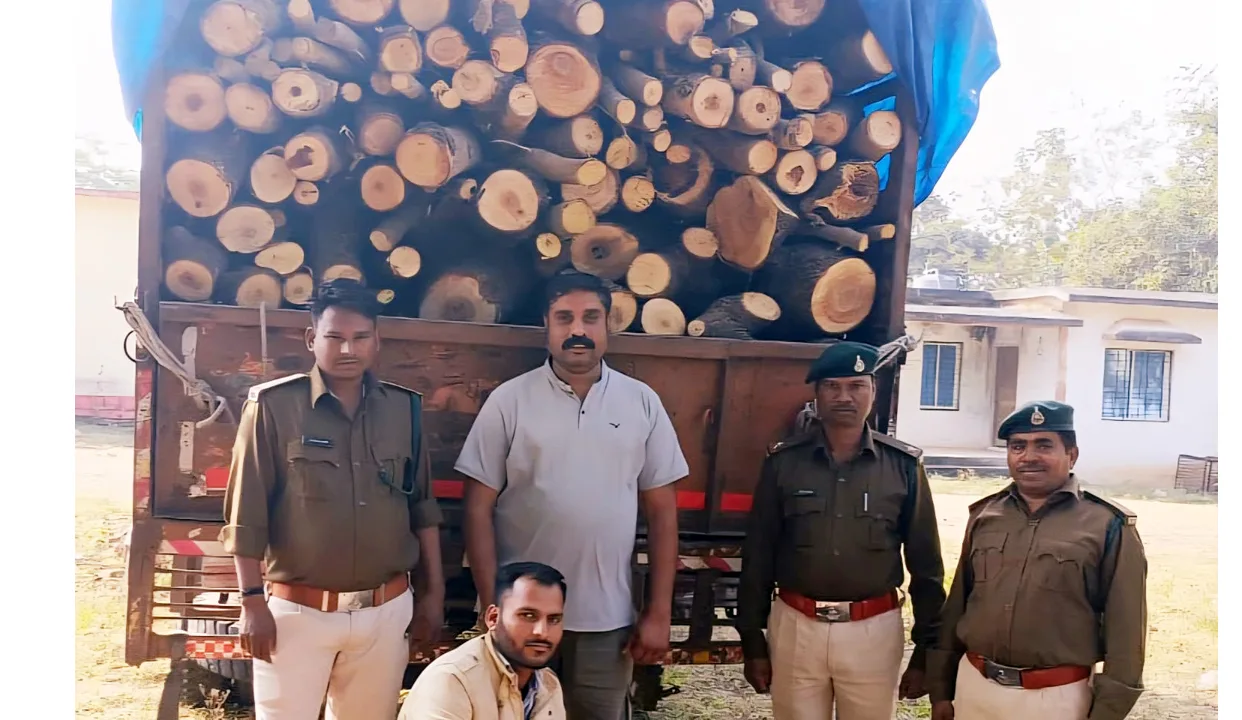 अवैध लकड़ी परिवहन पर बड़ी कार्रवाई: धार वन टीम ने आयशर ट्रक ज़ब्त किया