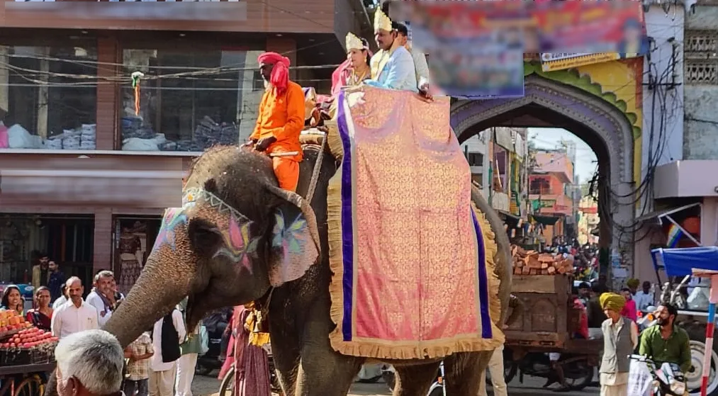 चंद्रप्रभु और पार्श्वनाथ जी के जन्म-तप कल्याणक पर सुसनेर में भव्य रथ यात्रा
