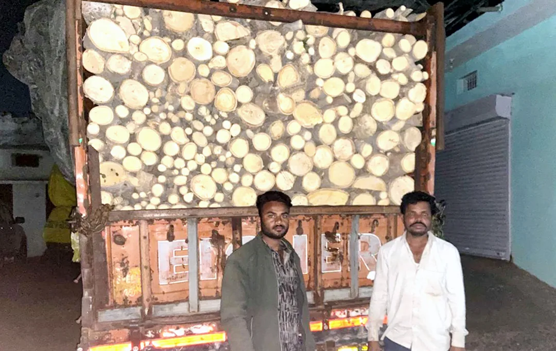 वन मंडल ने मिट्टी का अवैध उत्खनन और लकड़ी तस्करी पकड़ी