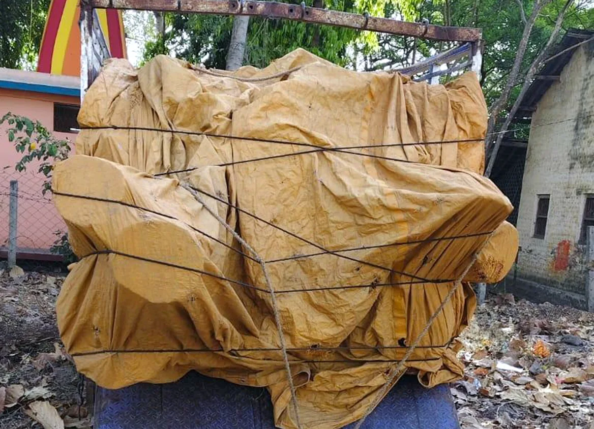 वन विभाग ने किया अवैध लकड़ी से भरा पिकअप वाहन जब्त