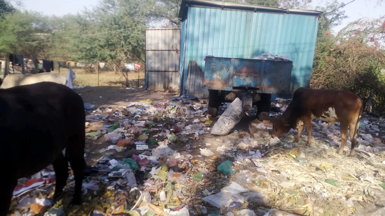 स्वच्छता सर्वेक्षण: धार में ‘चार दिन की चांदनी’ जैसी तैयारियों के बीच टॉप-5 का लक्ष्य